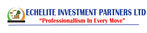 ECHELITE INVESTMENT PARTNERS LTD